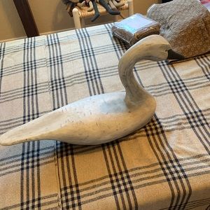 Primitive Swan